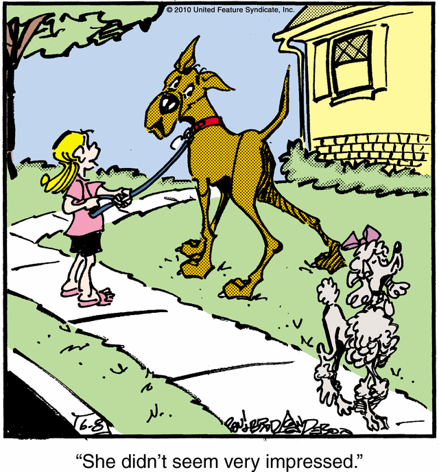 marmaduke